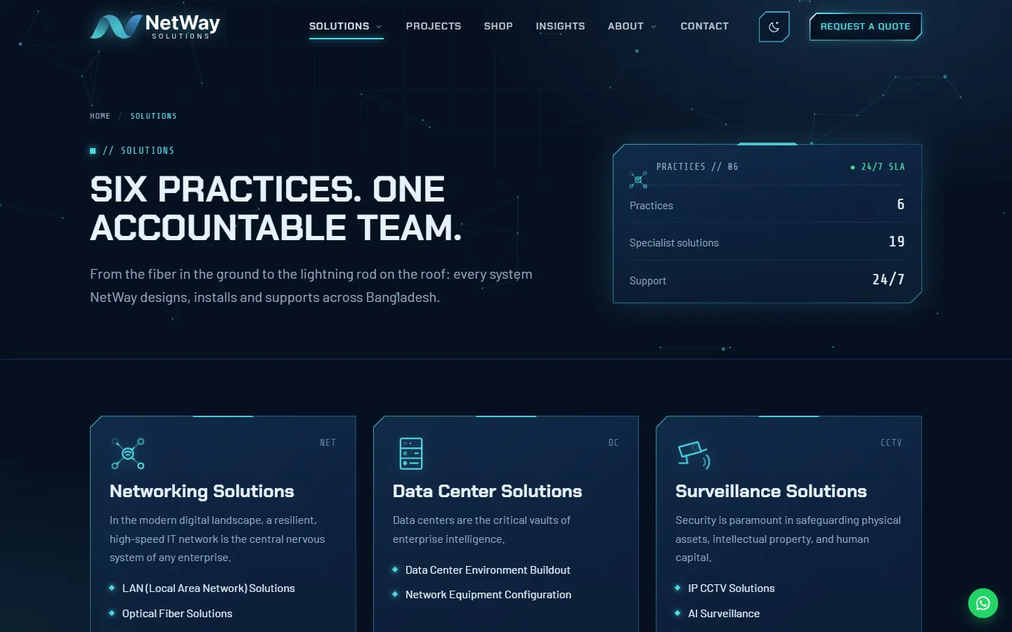 NetWay Solutions screen 2